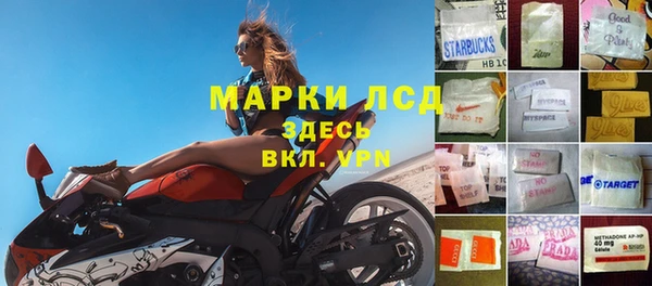 мяу мяу кристалл Богданович